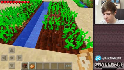 MINECRAFT POCKET EDITION   0.9.0