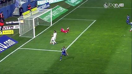 All Goals SC Bastia 2-0 Troyes AC France Ligue 1 - 06.02.2016 -