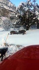 Bucks Fighting It Out