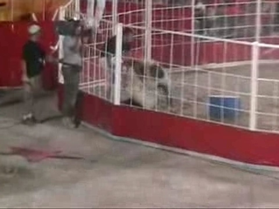 Intervilles vu des tribunes (2)