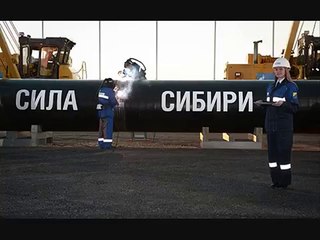 «Газпром» отменил крупнейший в своей истории тендер