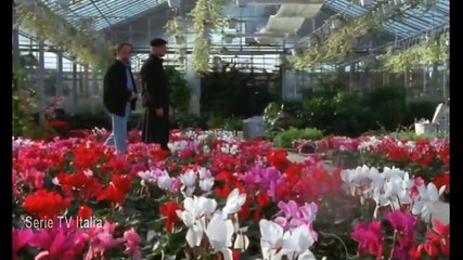Don Matteo (1) - 5a puntata - La rosa antica - Serie TV Italia