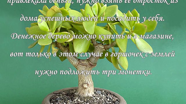 Фэн - шуй и деньги, пять талисманов для привлечения богатства