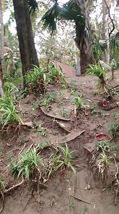 Parque Ecologico De Veracruz