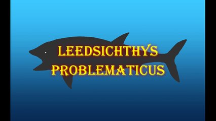 GRFC - leedsichthys problematicus vs hainosaurus bernardi
