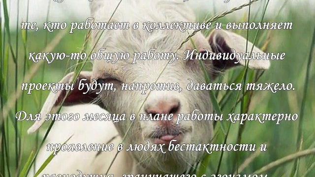 Фэн-шуй прогноз на июль 2015 года