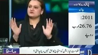 Maryam Aurangzeb clears that PIA is not being privatized.