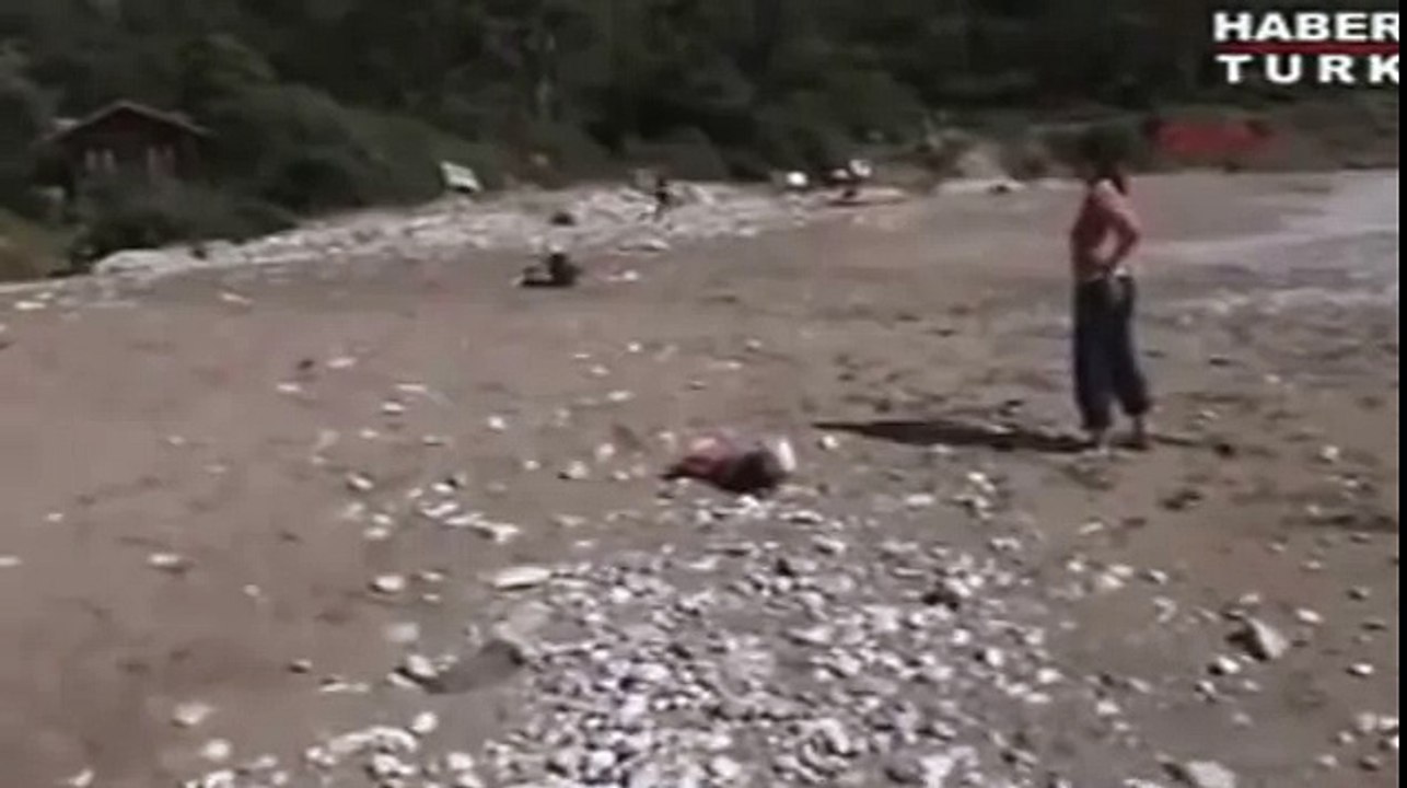 Baby's best friend, Heroic dog saves young child by lying in its way to stop it crawling into sea.