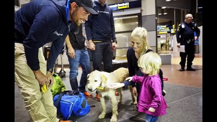 Stray dog adopted by the extreme sports team he followed through Ecuadorian jungle