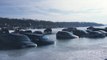 Ice Parking Lot Collapse Leaves Vehicles Submerged in Wisconsin
