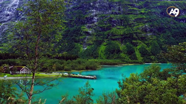 Galaksilerden kuarklara yolculuk: Bitki hücresi ve klorofil molekülü