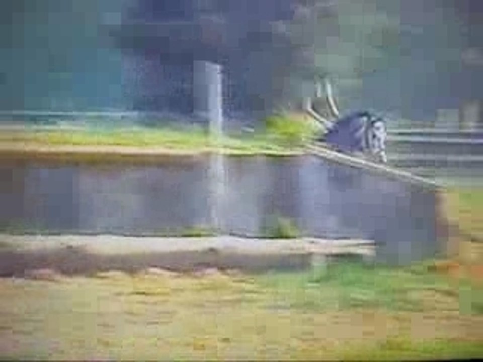 Montage cross (cce)