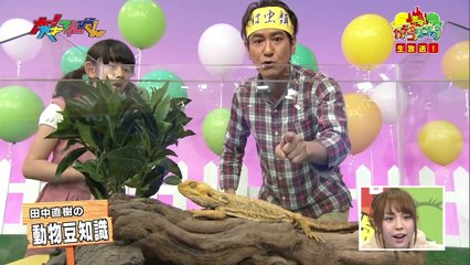 （黒澤美澪奈）動物リポーターみれな