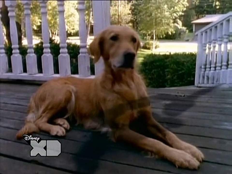 Gänsehaut S02E20 Die Rache der Gartenzwerge