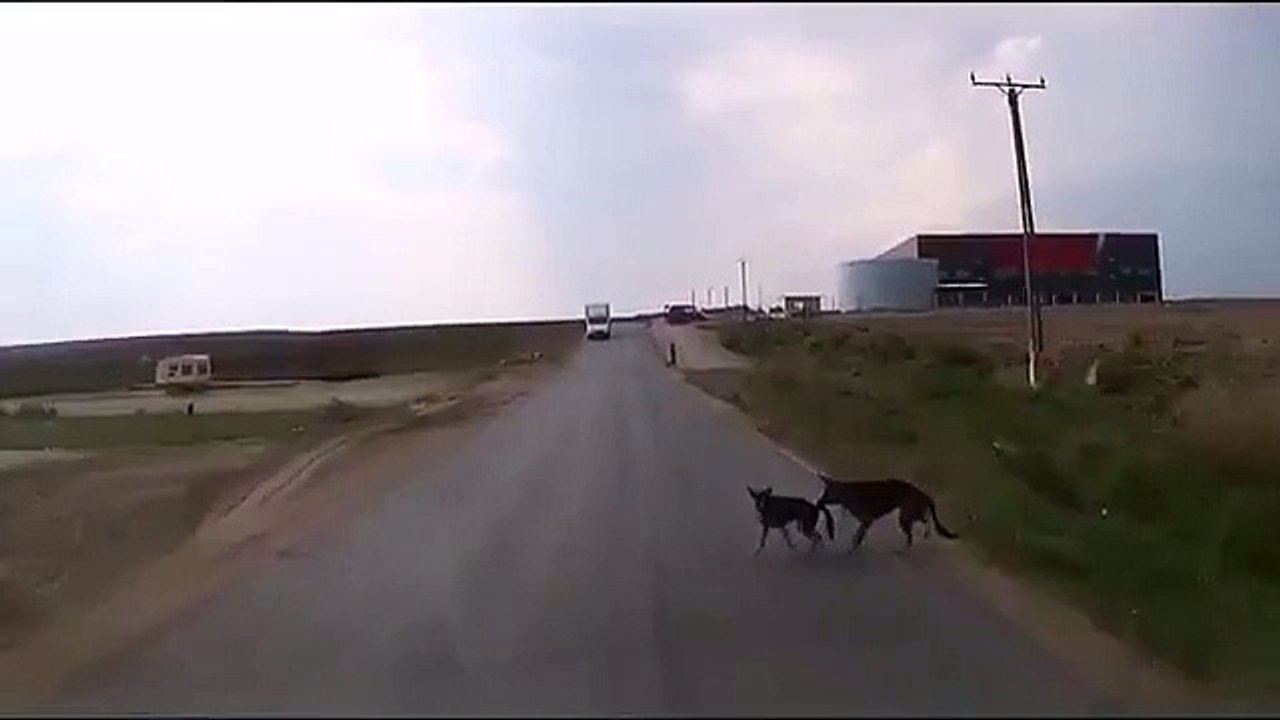 Друг спас друга! ОБЯЗАТЕЛЬНО ПОСМОТРИТЕ