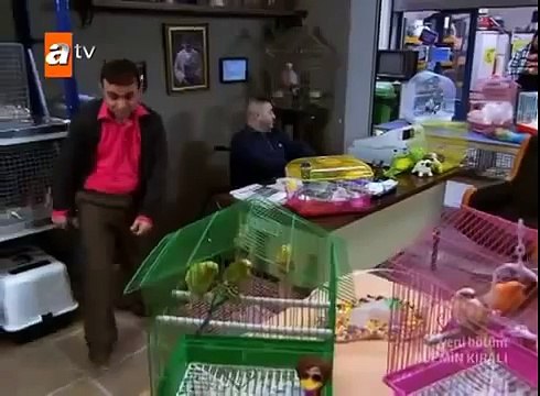 Alemin Kralı 54. Bölüm Tek Parça Atv