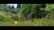 The Driftless Area - Official Trailer (2016) Anton Yelchin, Zooey Deschanel Movie