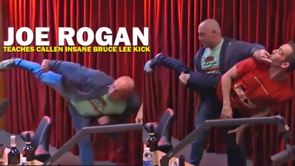 Joe Rogan teaches Bryan Callen how to throw a proper side kick