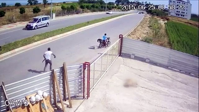 Pompalı tüfekle bekçi köpeğini öldüren adamın cezası belli oldu