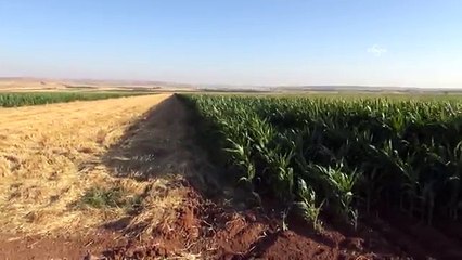 Sınırdaki köylüler: IŞİD bizi tehdit ediyor