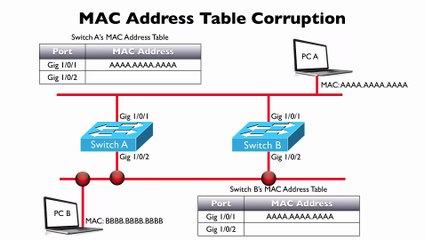 270.MAC Address Table Corruption