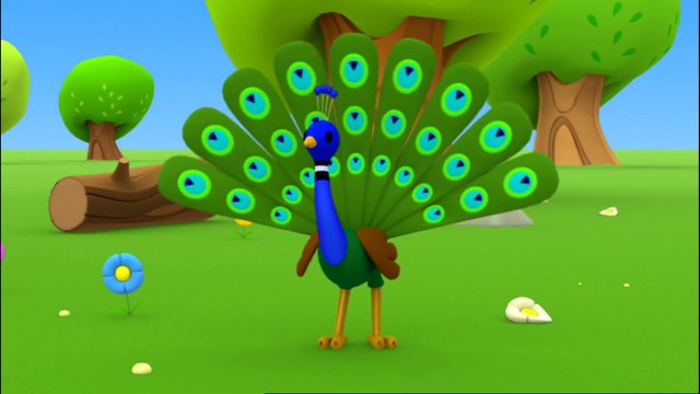 Çizgi film Musti Güneş ve gölge Türkçe dublaj TRT Çocuk