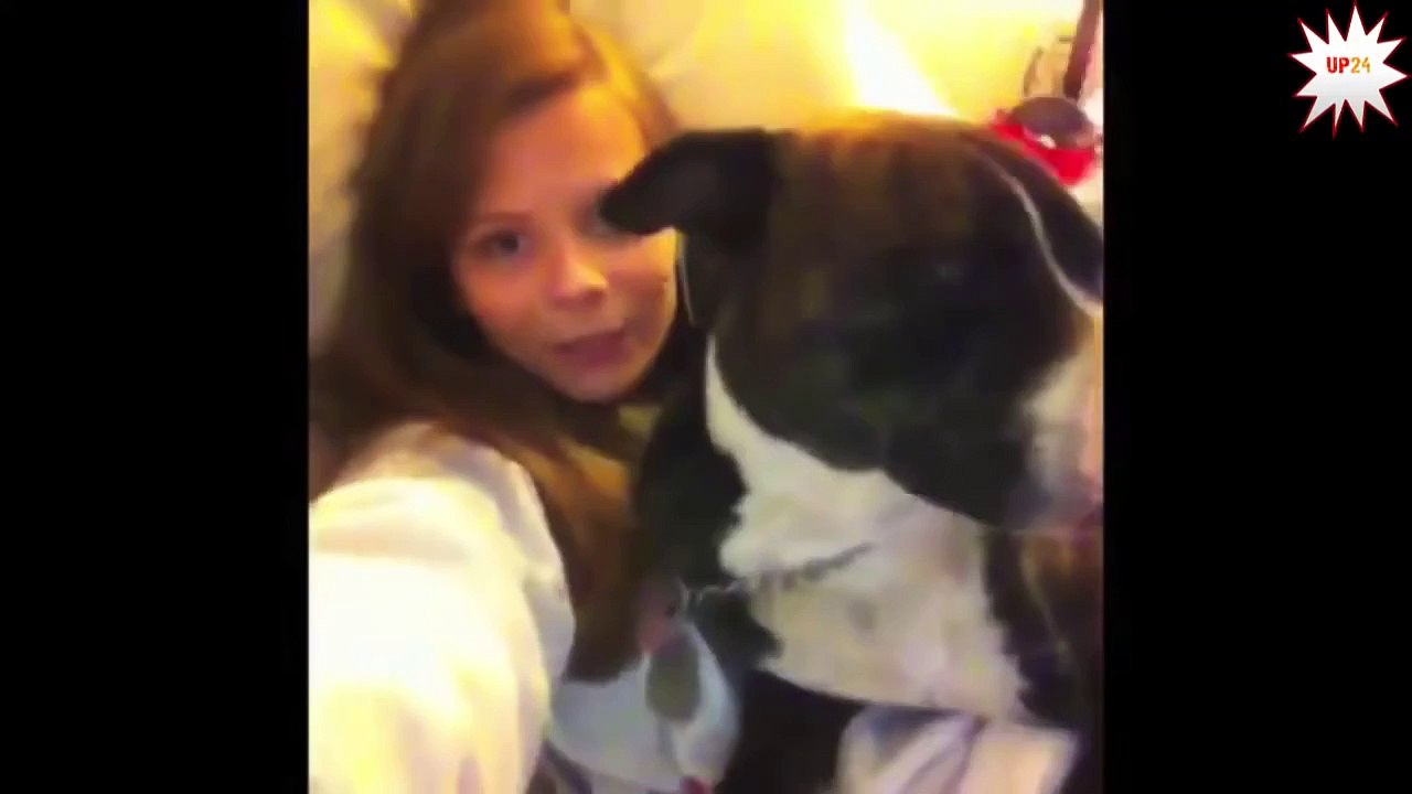 Dog whisperer 2015 - puppy dog whisperer funny