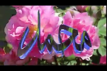 Beautiful Pashto Naat Zra Mi Der Kigi Bi Wasi Da