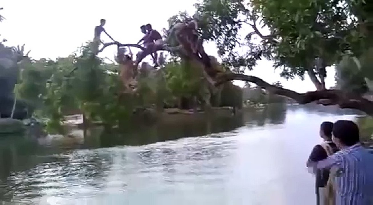 Funny Fails Lol - Funny Fails - Funny Pranks - Funny Videos