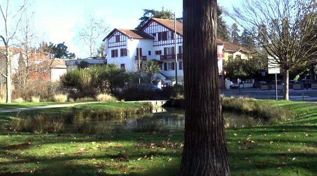 LES W-D.D. MICHOU NEWS - 5 FÉVRIER 2016 - PAU - LA DERNIÈRE CRÉATION DES JARDINIERS DE LA VILLE DE PAU