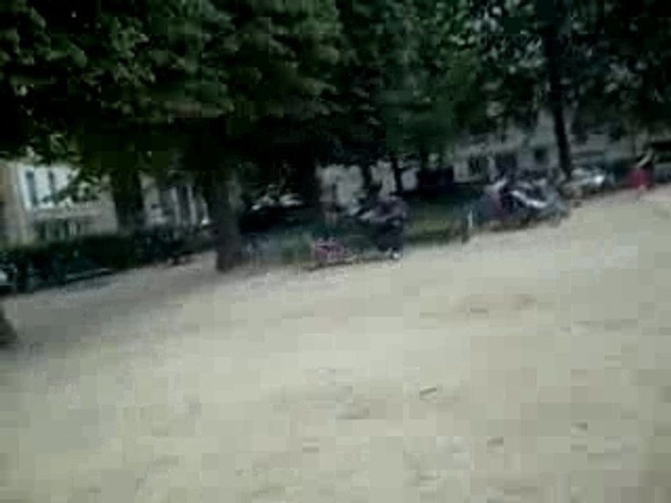 bête de journée