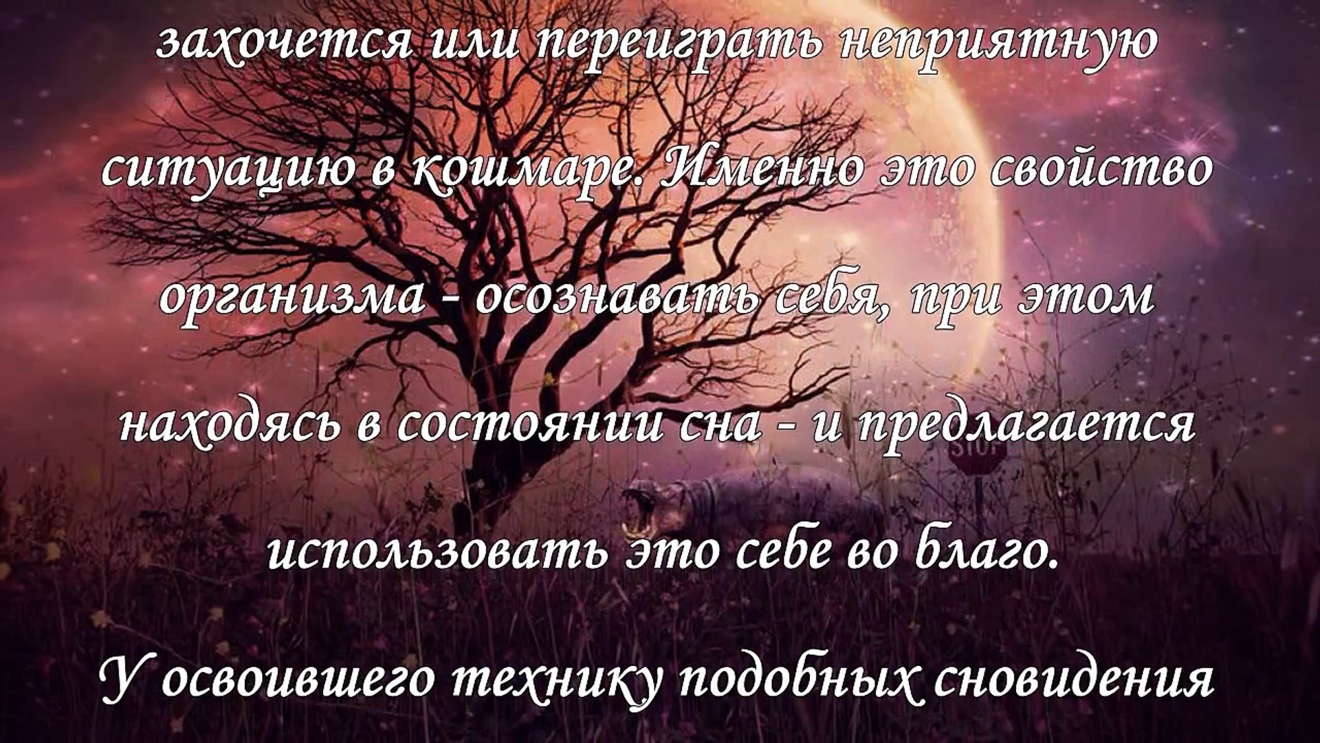 ⁣Техника осознанных сновидений, советы специалистов