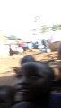 En Saf Mutluluk_ Kendilerini İlk Kez Ekranda Gören Afrikalı Çocuklar
