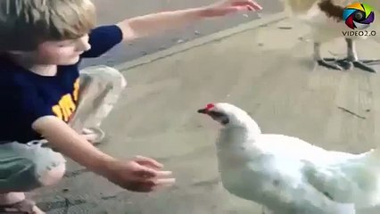 Love knows no bounds, even if you are a Friend with chicken !!
