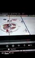 Amazing goal in NHL Hockey game (FULL HD)