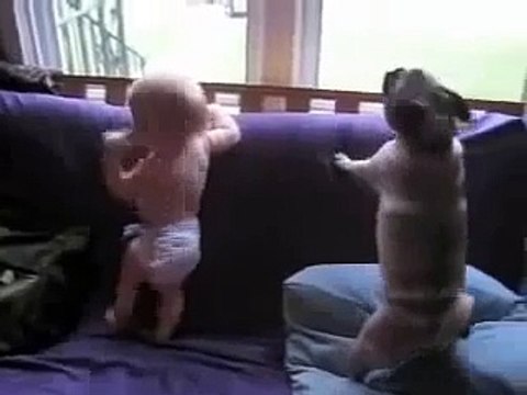 Bebe Y Perro Se Ponen Contentos Que Vuelve Papa ★ Perros Locos, Humor, Divertidos | Baby and dog They Get back happy that Papa
