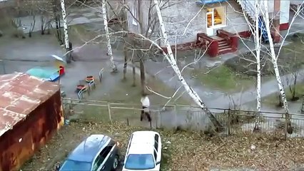 Вот так родители отводят детей в садик