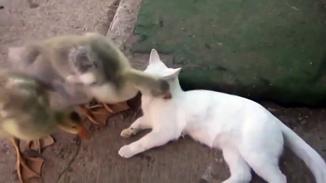 Обхохотаться можно)))