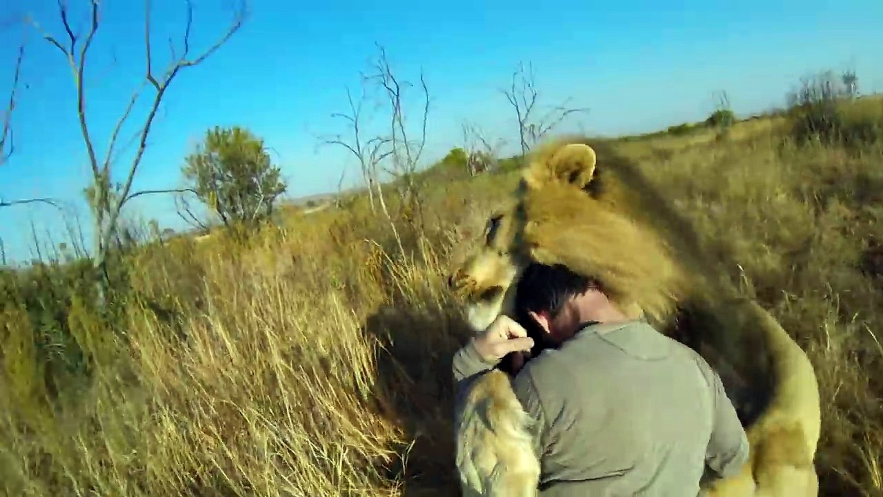 GoPro Lion Hug