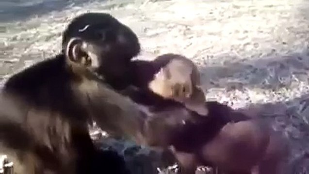 Любовь долготерпелива...не раздражается, не ведёт счёт обидам