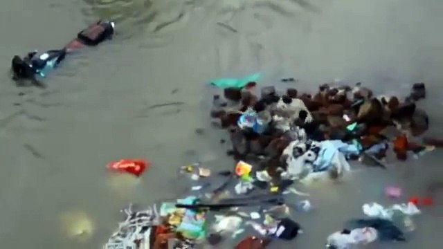 Поступки животных могут помочь призадуматься - а кто же мы )