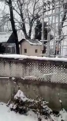 Sno in Dhrmshala
