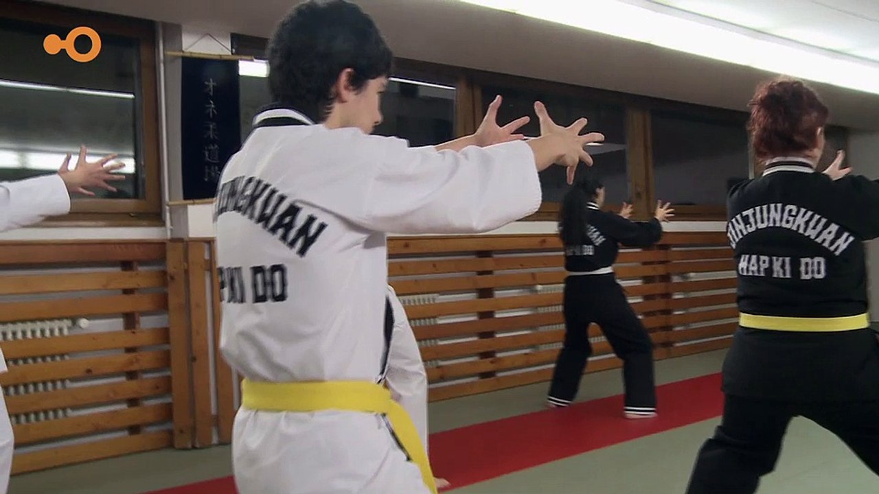 Sans Commentaire - Entraînement d'Hapkido Jin Jung Kwan