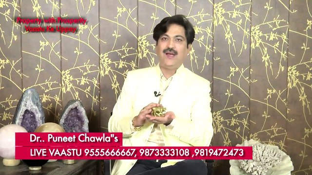 Remedy for Prosperity in Life - Cow & Calf - vastu