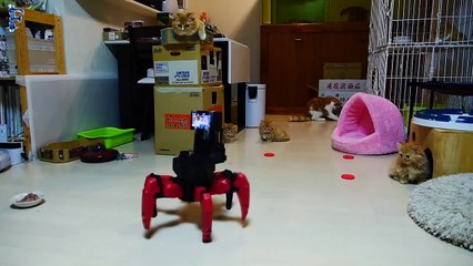 ПОДБОРКА ПРИКОЛОВ BEST COMEDY #133 f