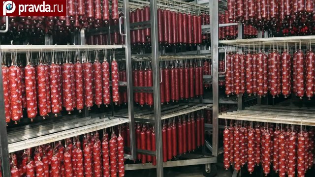 Кот из Харькова устроил себе пир на мясокомбинате