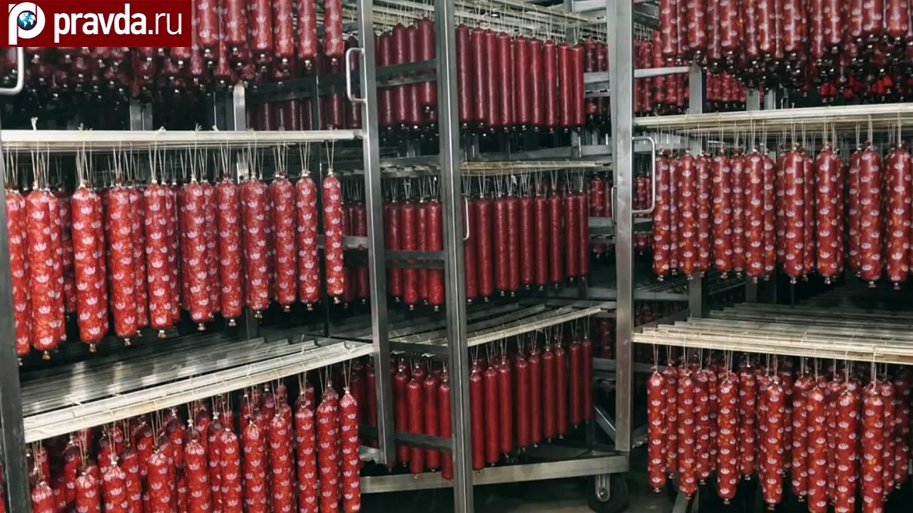 Кот из Харькова устроил себе пир на мясокомбинате