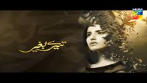 Tere Baghair Episode 13 Promo HUM TV Drama 13 Jan 2015