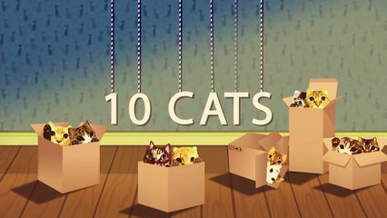 Коты и омар