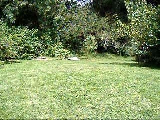 rabbi jacob Chorégraphie